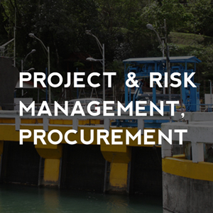 Project and Risk Management Procurement